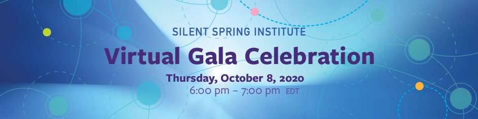 virtual gala celebration