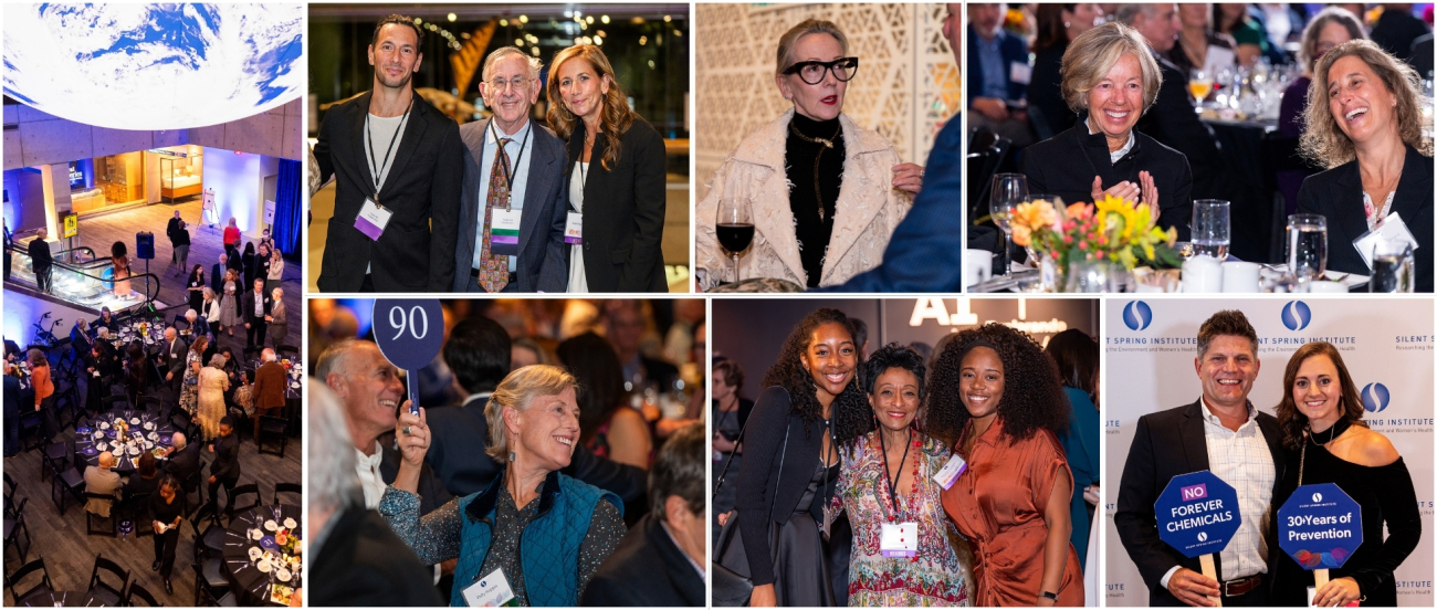 photos from 2025 Gala