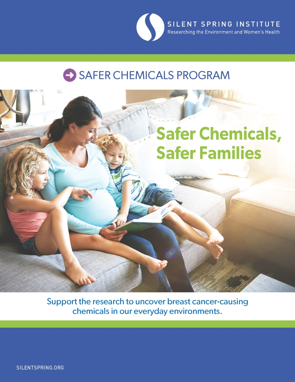 Safer Chemicals Program