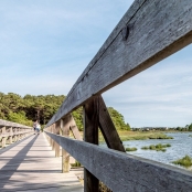 Cape Cod environment